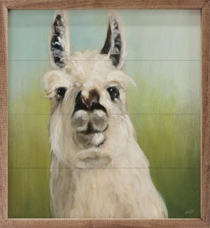 Who's Your Llama By Julia Purinton